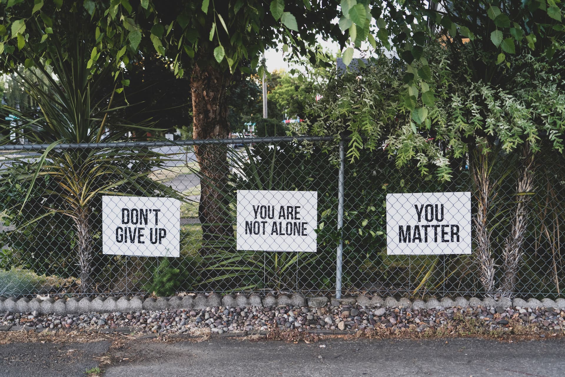 6 Simple Habits to Improve Your Mental Health and Create a Better Life