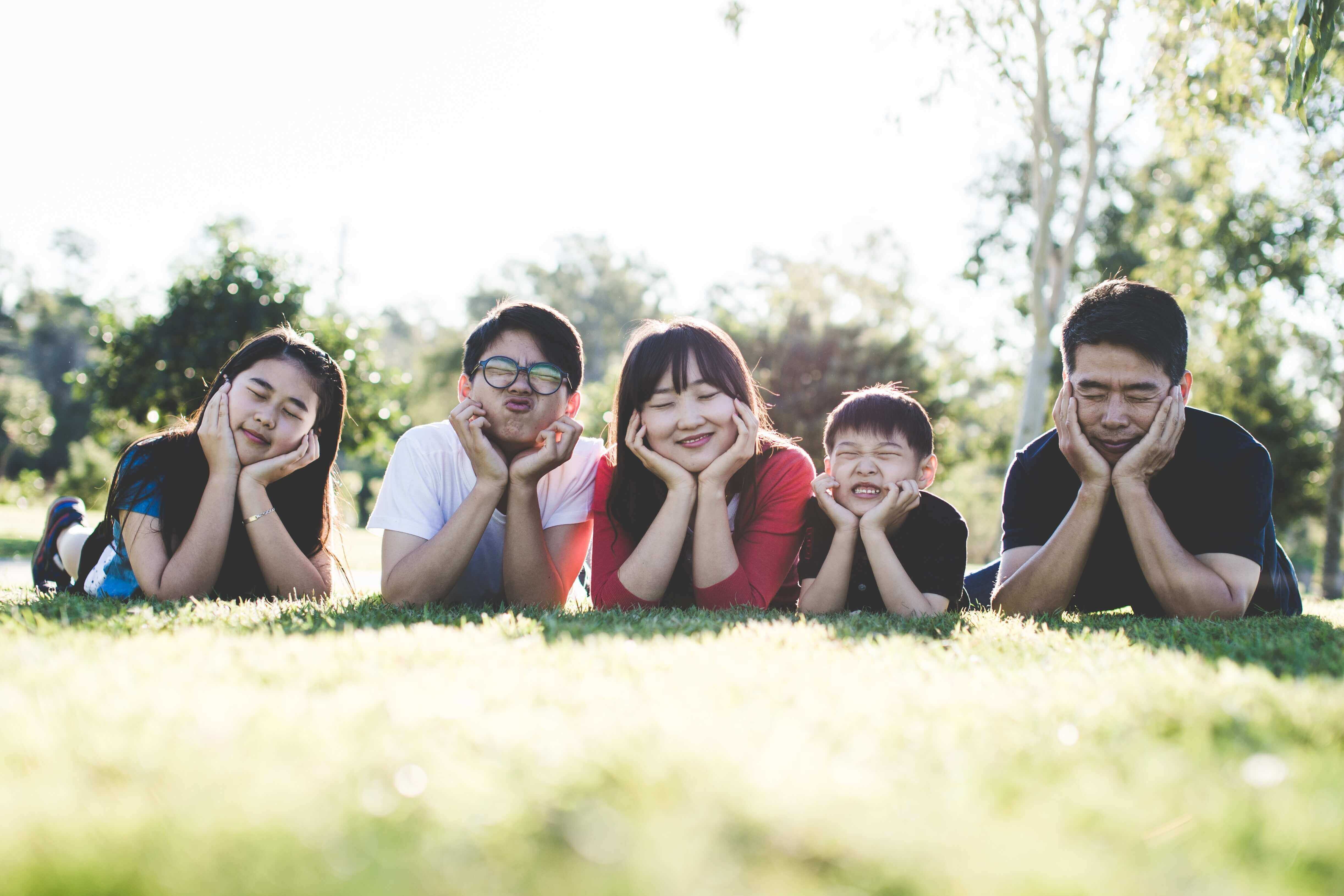 Family Counseling & Therapy
